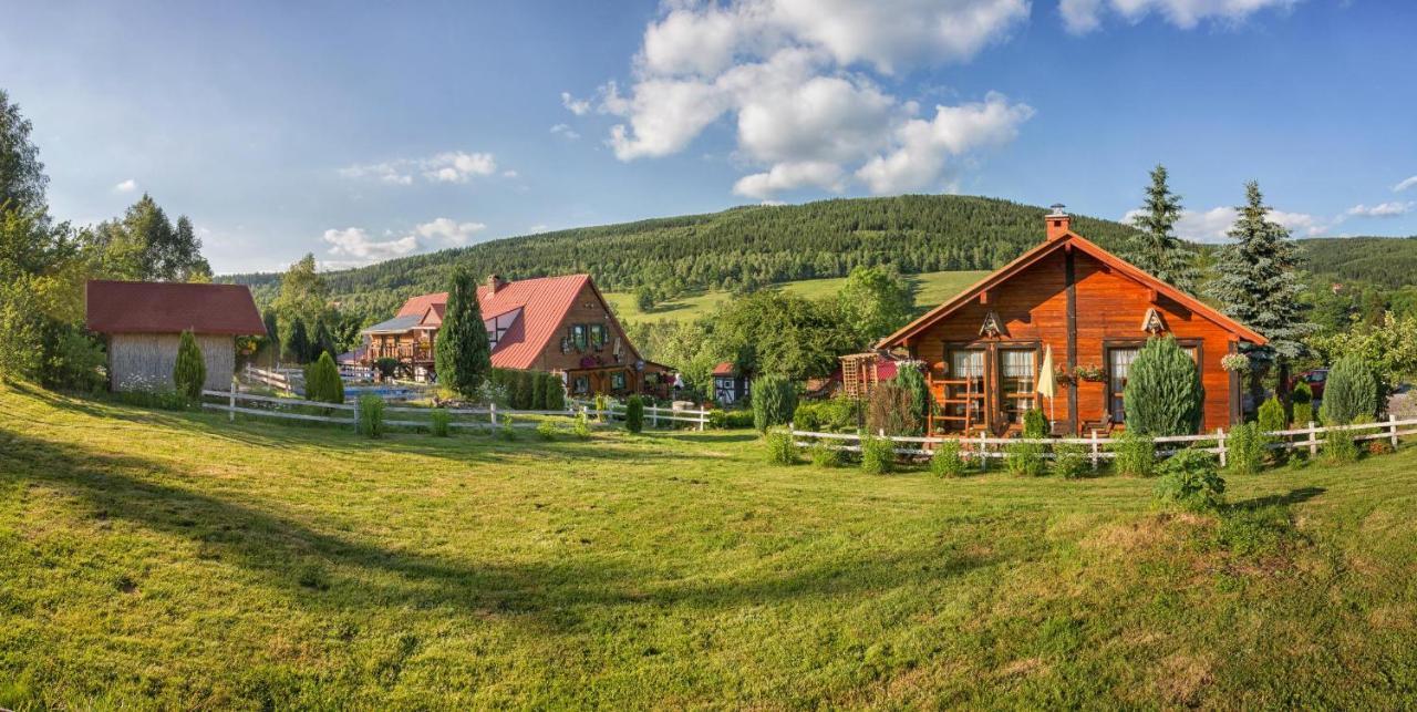 Świeradów-ZdrójGleboki Jarアパートメント エクステリア 写真